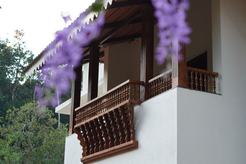 Lawn View Balcony Room
